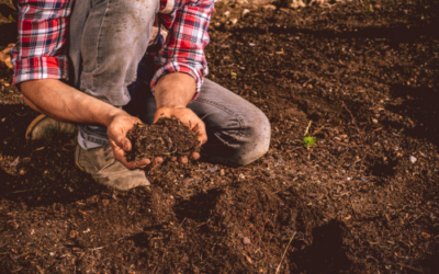 New rules to protect Highly Productive Land