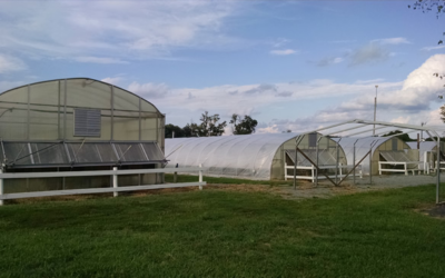 Contamination and soils- What impact does it have on subdivision?