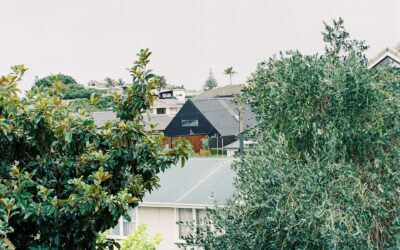 Costs of converting a Cross Lease to Fee Simple Titles- 2026